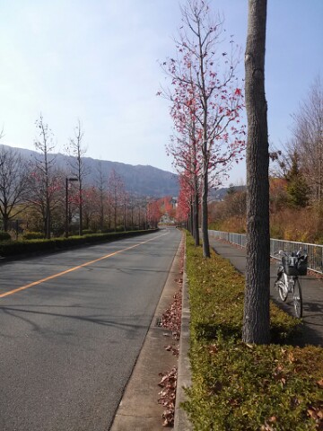 京都市の桂坂公園南側を通る、勿論人力車にて
